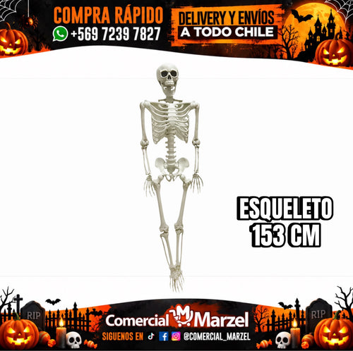 Esqueleto 153cm Halloween